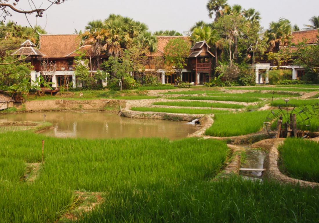 水稻淹水的正确方法,水稻泡田的作用