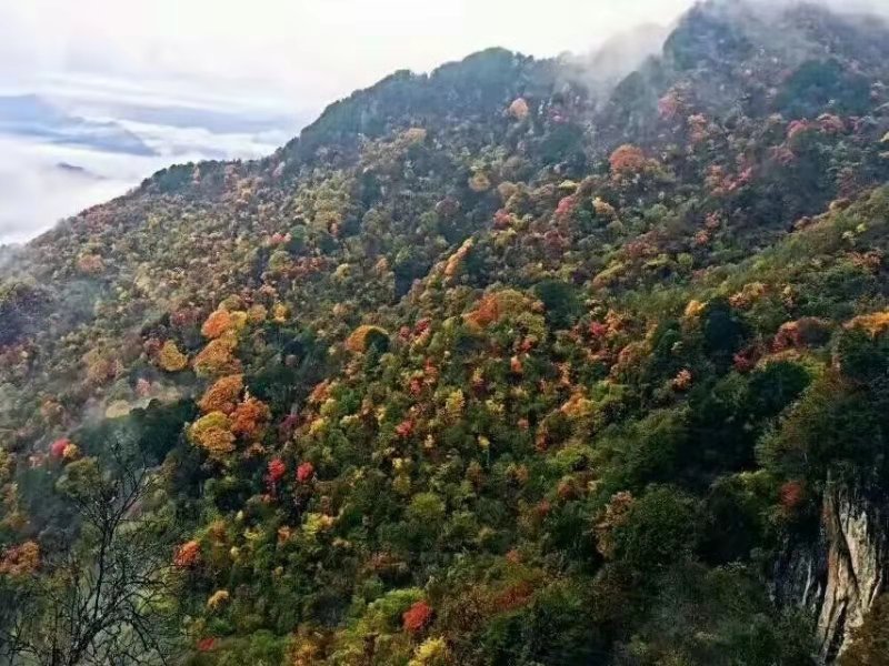 抓住秋天的尾巴走进冬天,抓住秋天的尾巴寻最后一抹金黄