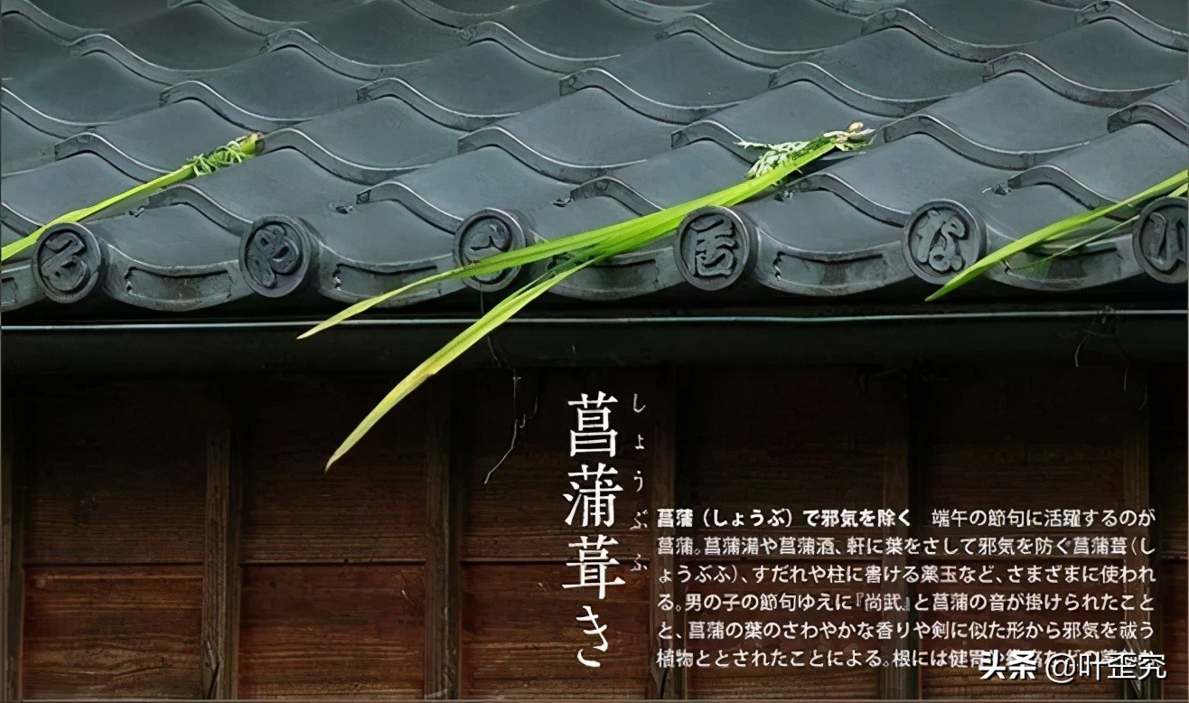 山前青青野艾草，你家门前插几枝？