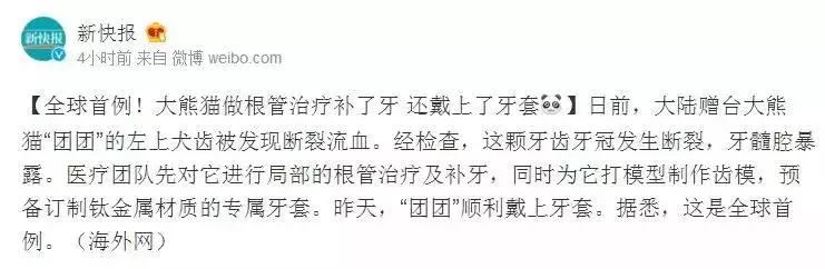 牙根管治疗大熊猫,大熊猫治牙