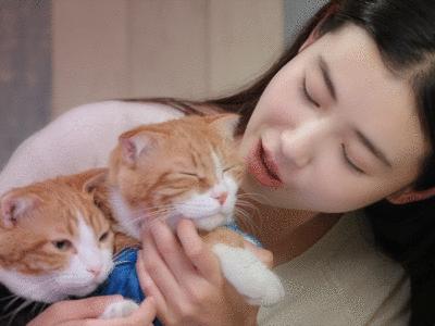 lolita撸猫,lolita撸猫猫