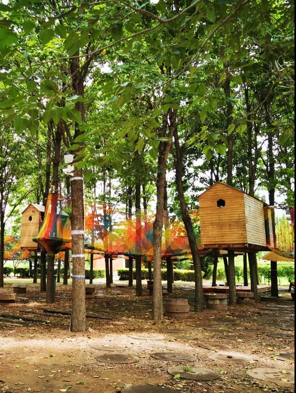 分秒必争！打响汛后“修复战”，建业新生活在行动