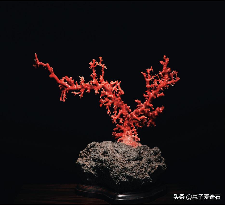 台湾省奇石玉石一览,中国四大奇石价值连城