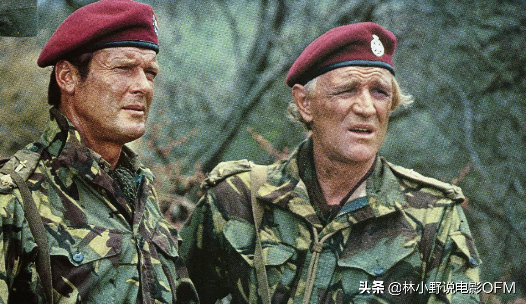 电影海狼剧透简介图片,老电影《海狼》海报