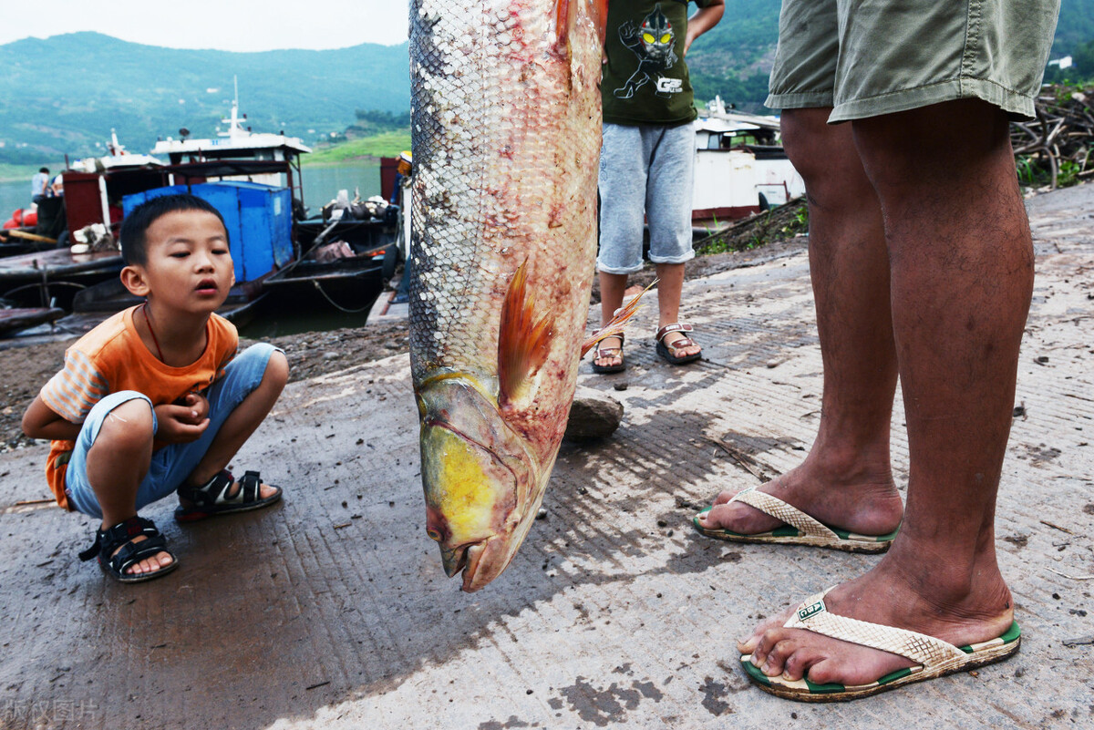 河源万绿湖是以前的新丰江水库吗,新丰江水库跟万绿湖有什么关系
