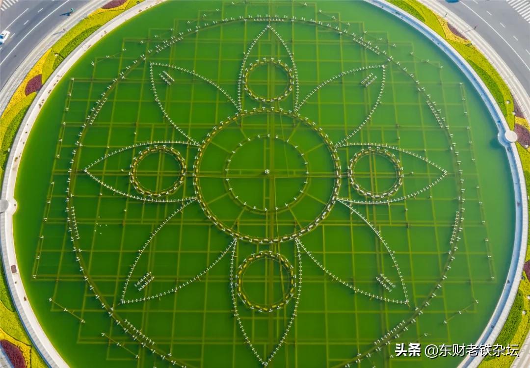 大连星海广场震撼,大连哪儿能看见星海广场全景