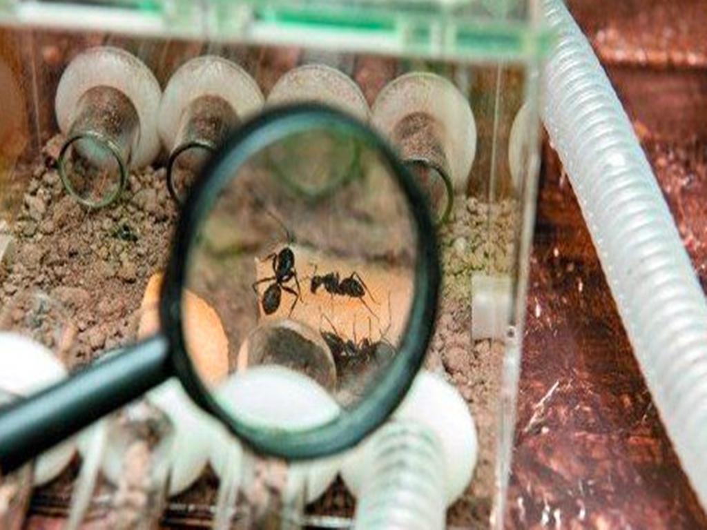 你有勇气让我“无用”，我就有可能走向辉煌