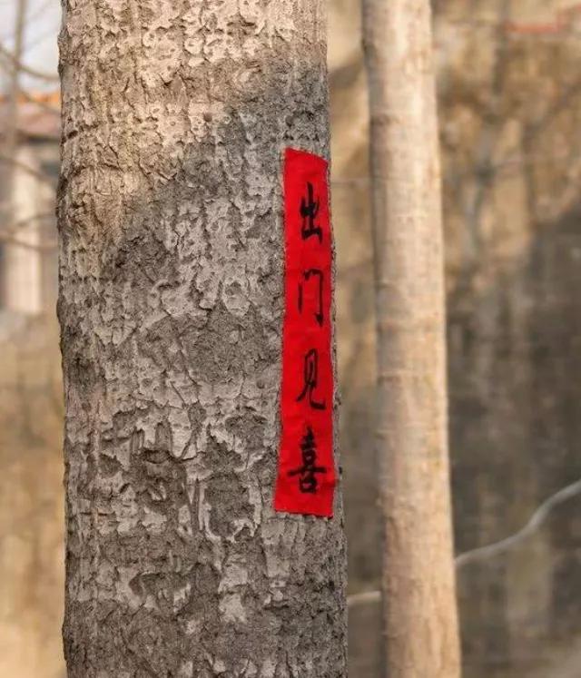 年味的散文100篇,记忆中的年味的散文