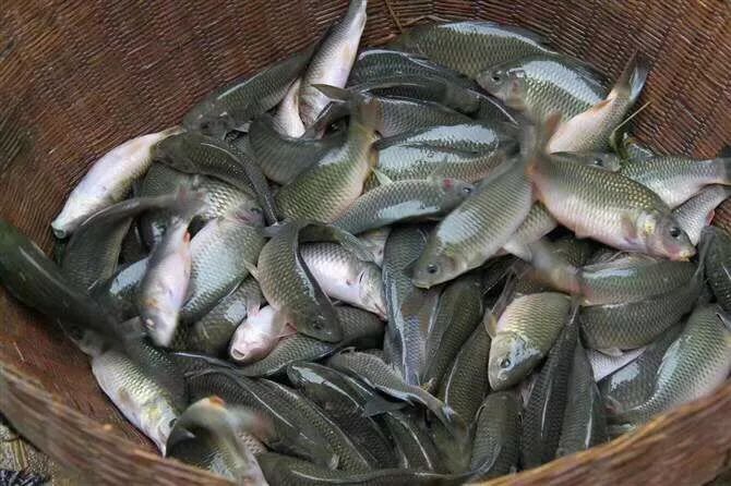 昆明必须知道的高端饭店,昆明市比较出名的饭店