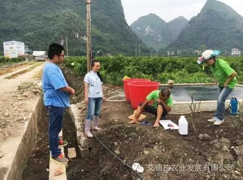 爱农服务一切为农,爱农懂农为农服务