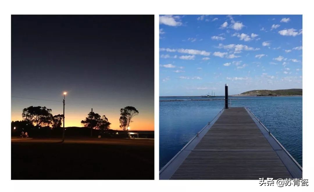 在荒郊野岭汽车没油了,飞机撞鸟灾难视频