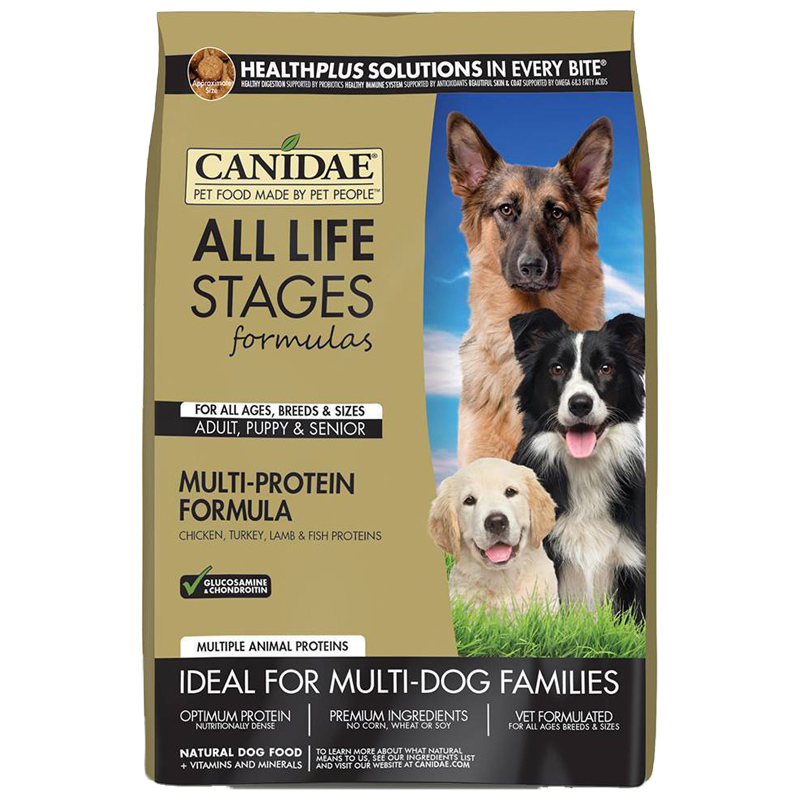 过年加餐？小心喂坏肚子——玻璃胃狗子的喂养心路历程