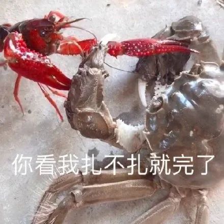 恐怖螃蟹,恐怖螃蟹视频