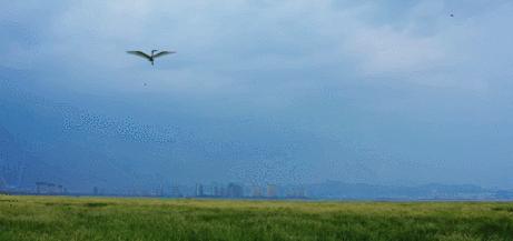 青岛国家海洋公园免费,海洋公园青岛最新