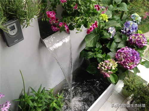 四月份适合在阳台上种植的蔬菜,阳台上种植营养液体蔬菜