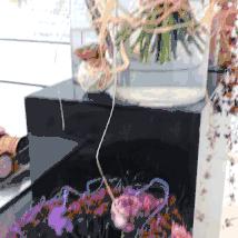 6天,教你用色彩“粉”碎所有不可能