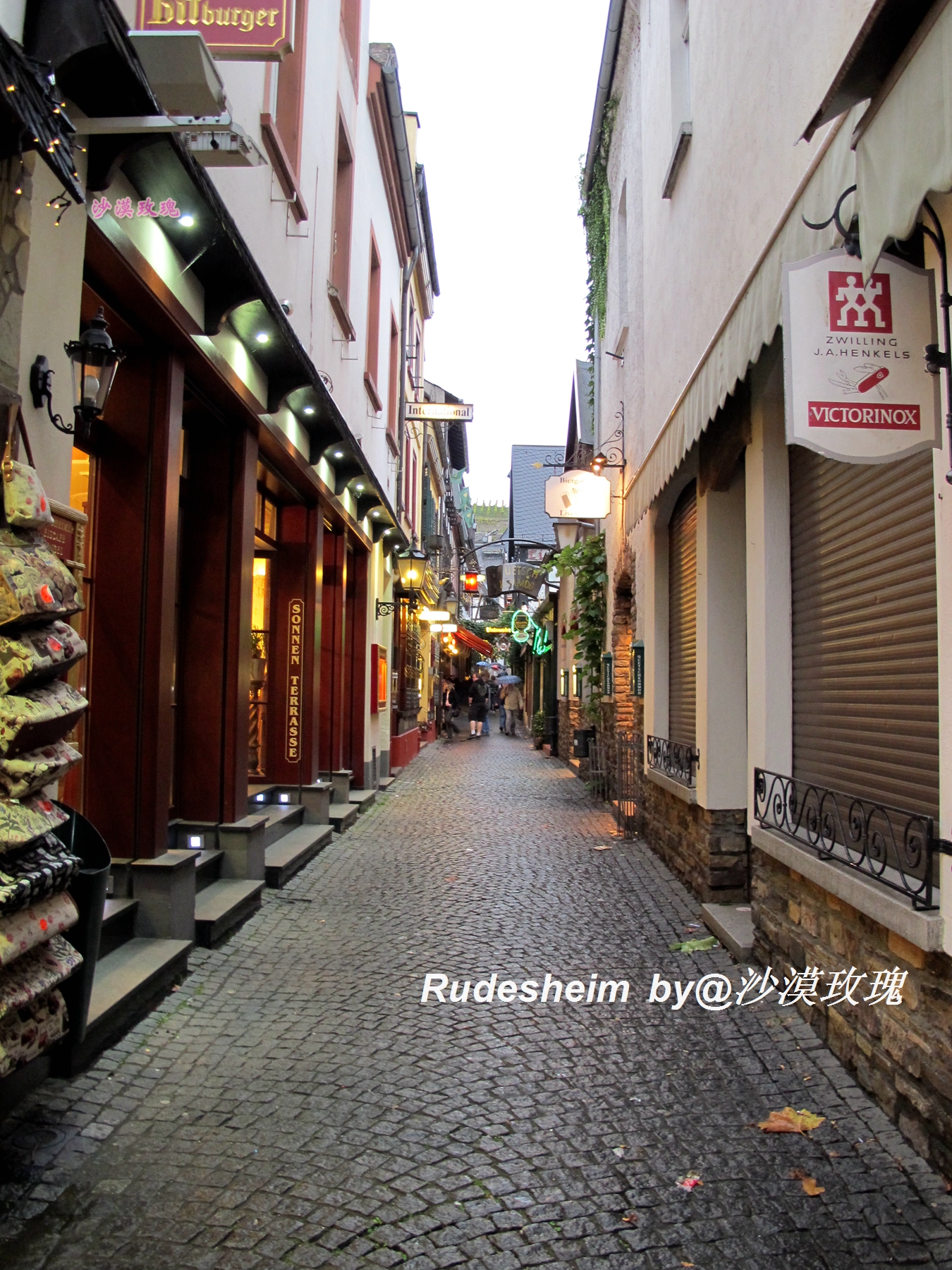 莱茵河葡萄酒小镇,莱茵河畔的葡萄小镇