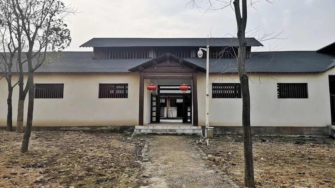 绍兴杭州湾海上花田100万郁金香等你来赏来赴一场春天的约会。