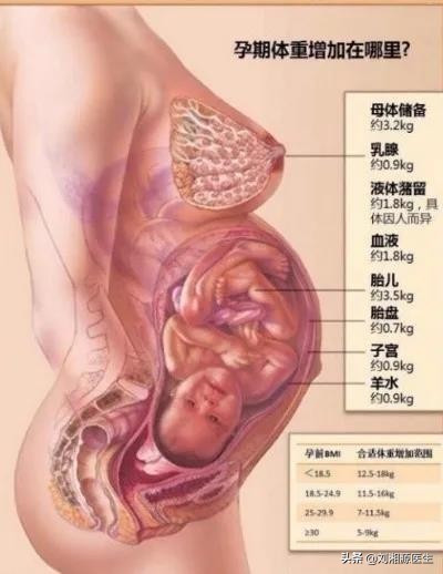 免疫相关不良妊娠诊断指南,多囊胰岛素抵抗怀孕血糖高