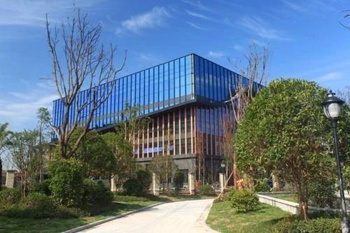 重庆小学学费一年多少钱,重庆小学为什么这么贵