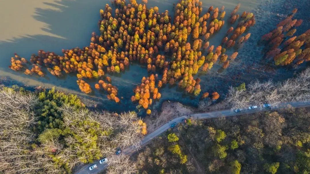 1011月错过它们，等于错过整个秋天！人少清净，随手一拍都是大片