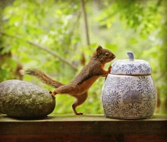 婆婆又穷又脏又懒说话特难听,婆婆不听话怎么沟通