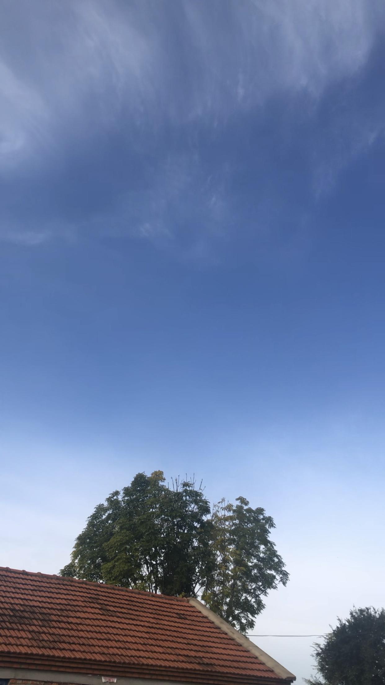 推荐三本古风美食文,家长里短的种田美食文