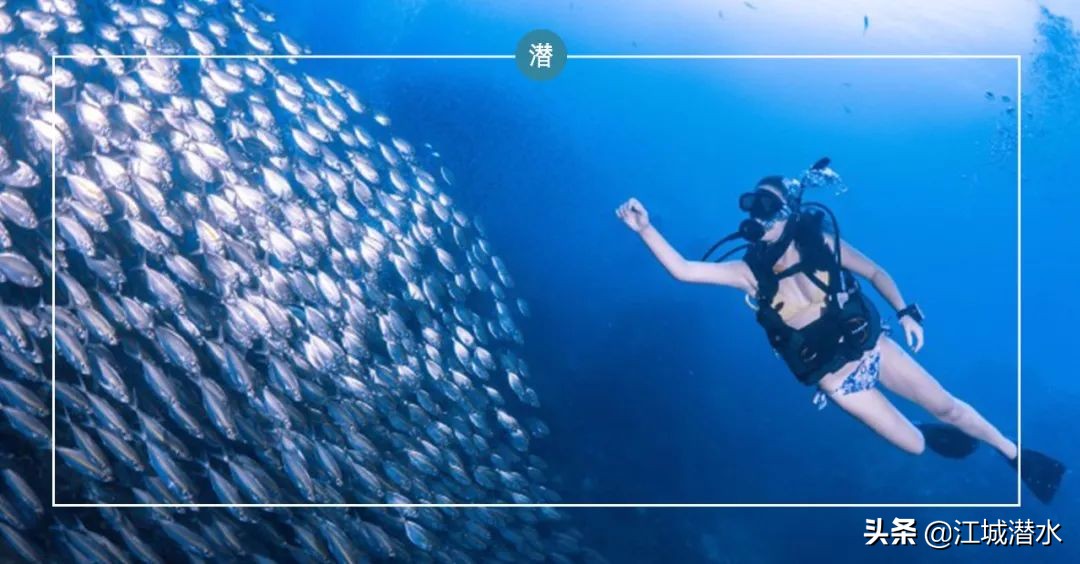 稳住别慌视频,稳住别慌张