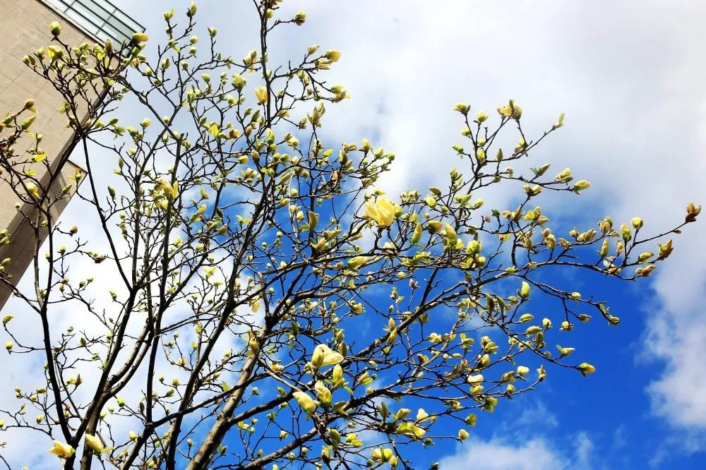 高考加油2024,高考加油2019版