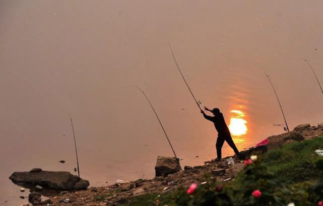 懒钓串钩钓草鱼绝招,串钩是什么钓法