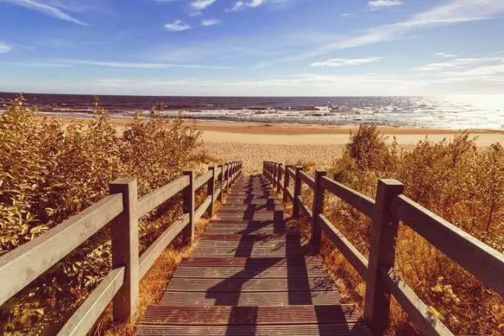 如何从迷茫焦虑变得自律,如何改善自律焦虑