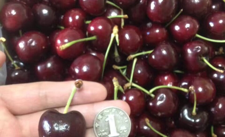 黑森林蛋糕配方教程,黑森林蛋糕如何烘焙