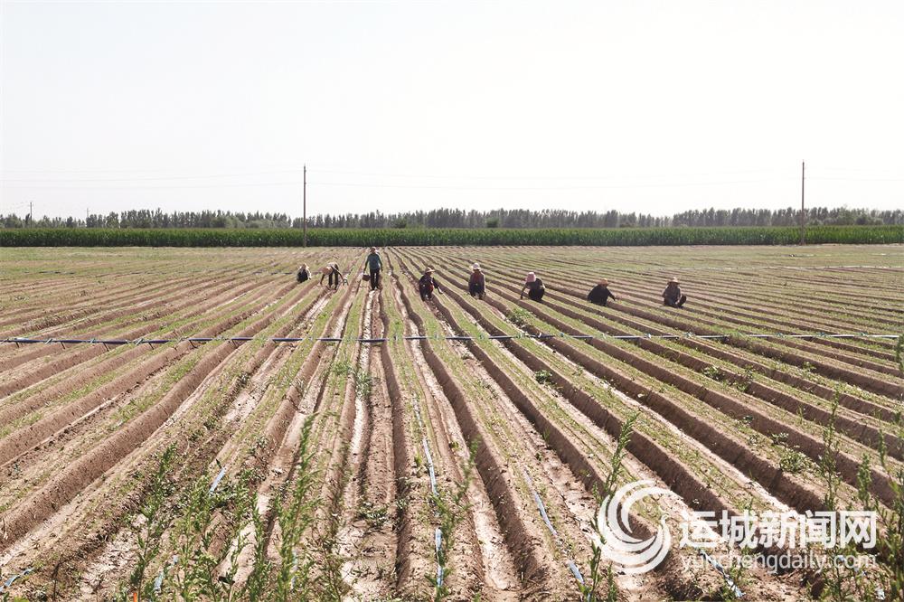 万荣县食品安全,万荣房屋地基加固处理