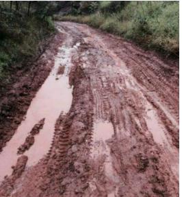 俗语说房前屋后栽啥树好,俗语想致富先修路原话怎么说