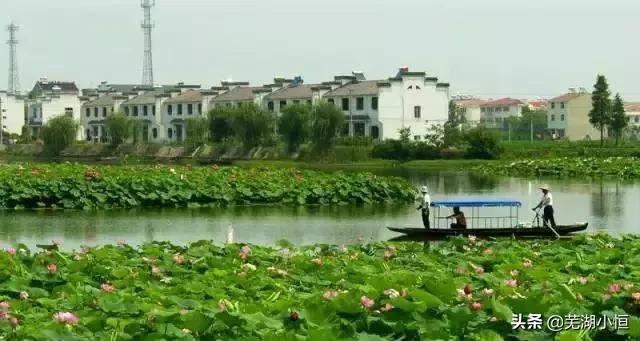 芜湖吃喝玩乐省钱攻略大全,芜湖吃喝玩乐一日路线攻略