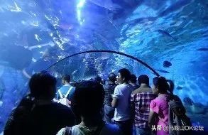 马鞍山在岗平均工资,马鞍山上年度在岗职工月平均工资