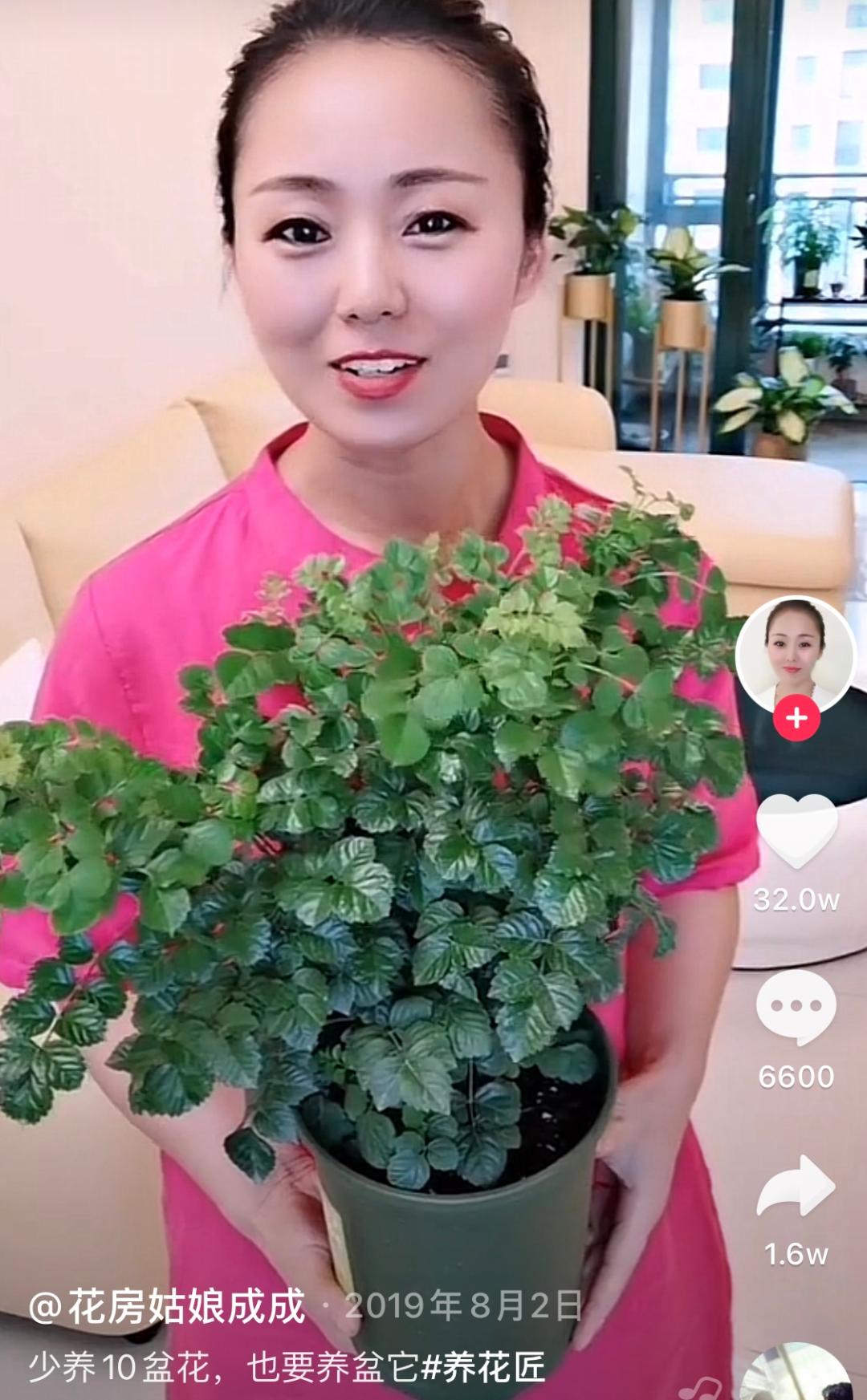 沉迷“花花世界”的41岁妈妈，她凭什么活得那么爽？