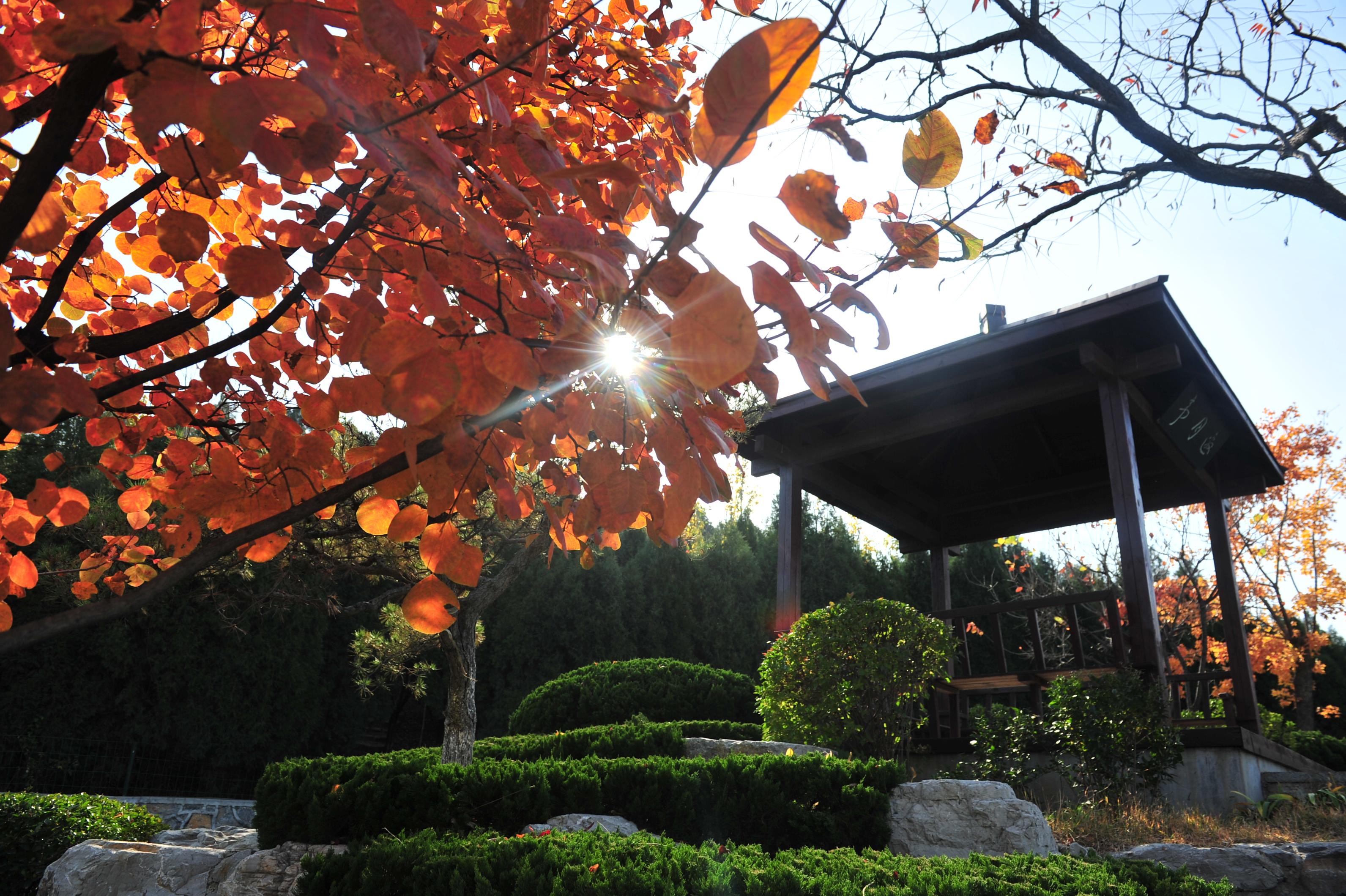 济南周围城市看海的好地方,济南有个生态绿肺秋色斑斓惹人醉