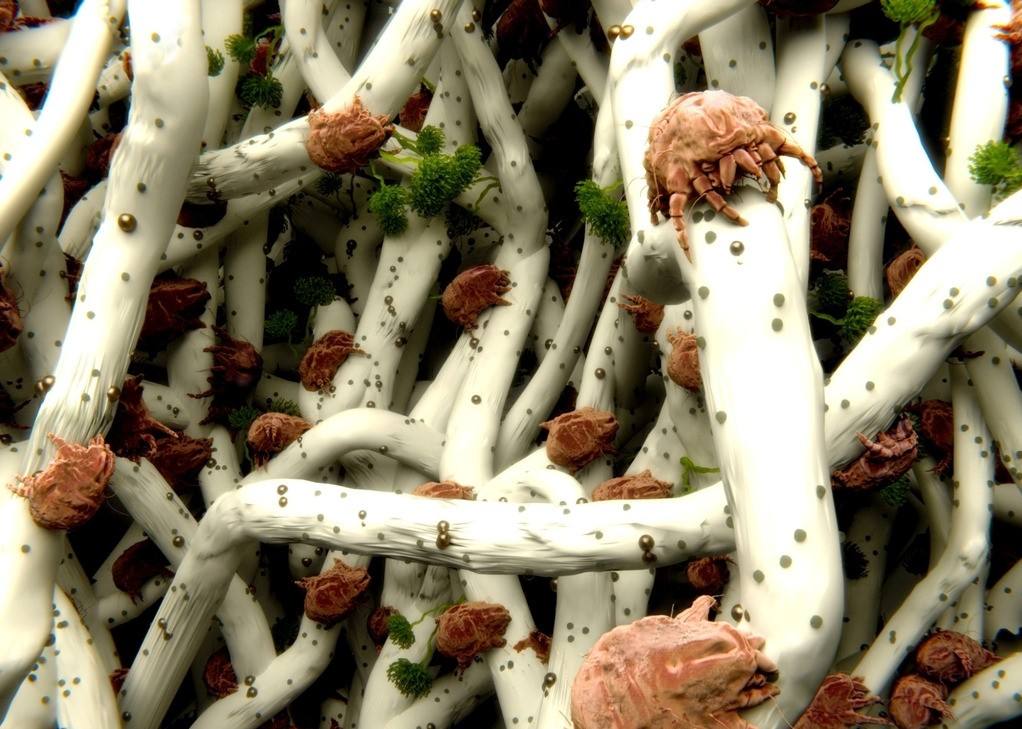 皮肤无缘无故瘙痒，别怕，不是什么疾病，肯定是忽略了这几个原因