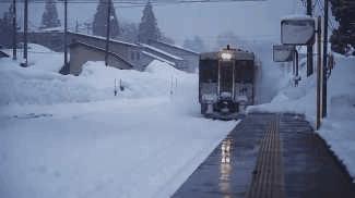 隔离在酒店的温暖感受,隔离的酒店环境