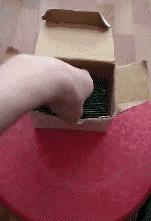 今天来大哥家吃饭，嫂子亲自下厨，待遇真高