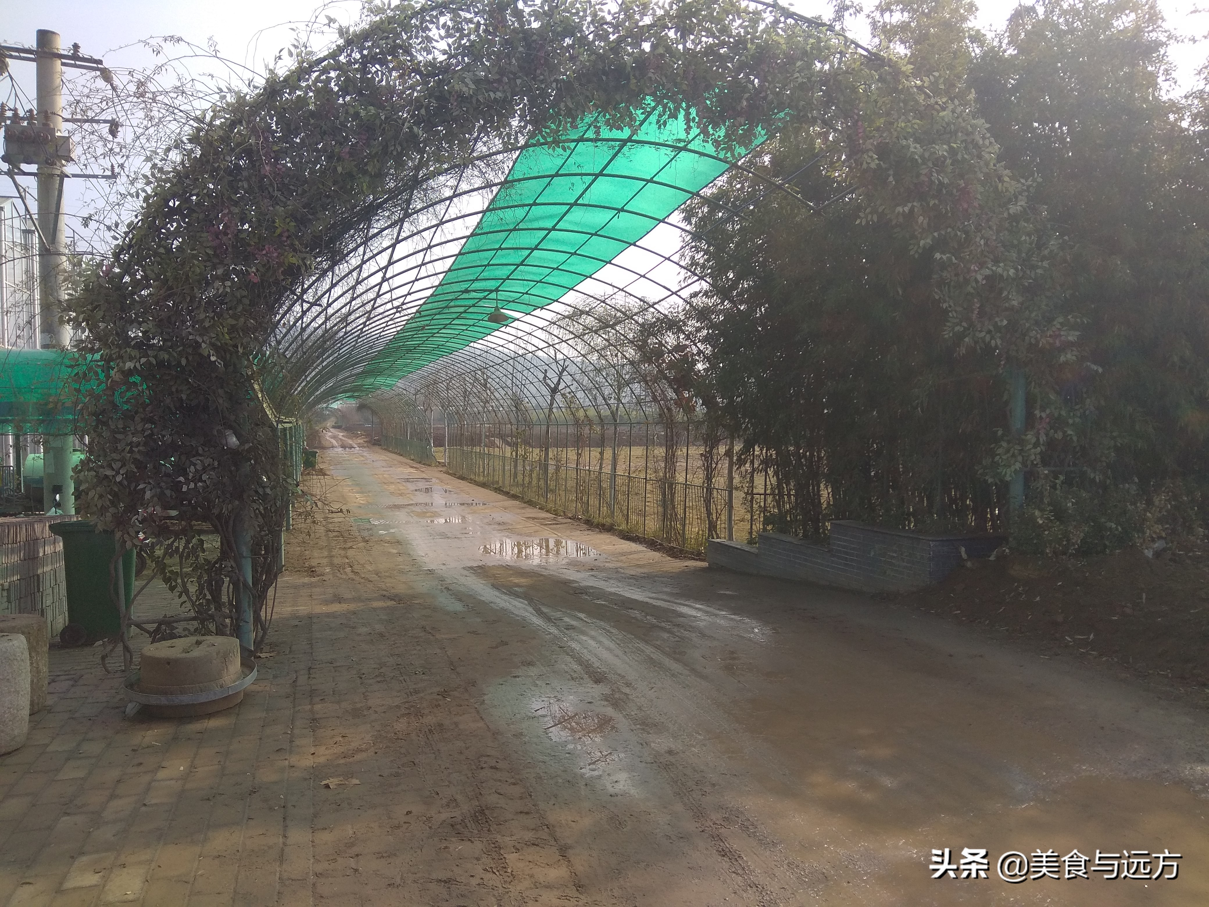 南横线上曾经有个盛农园,如今却是一片死气