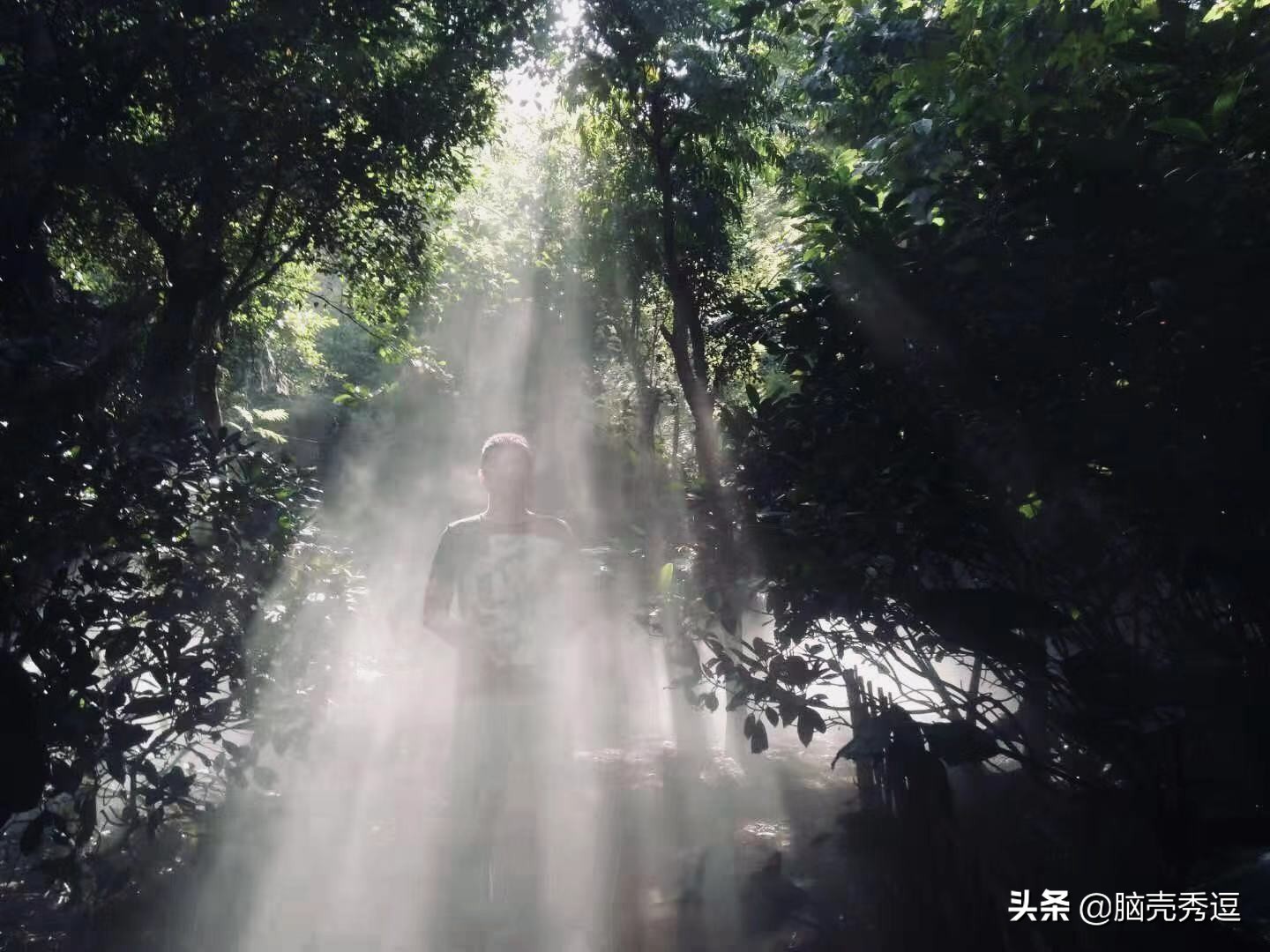 厦门四天自由行攻略最详细,厦门自由行攻略5天详细