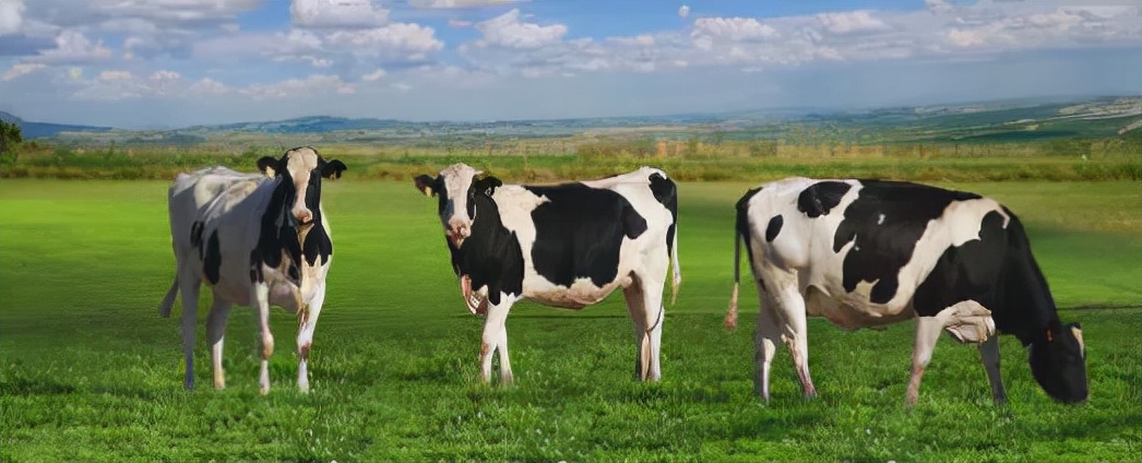 蒙牛与伊利哪个销量更大,蒙牛和伊利是一家集团吗