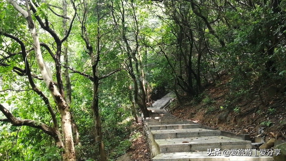 广州附近登山好去处,广州天堂顶徒步登山最佳路线