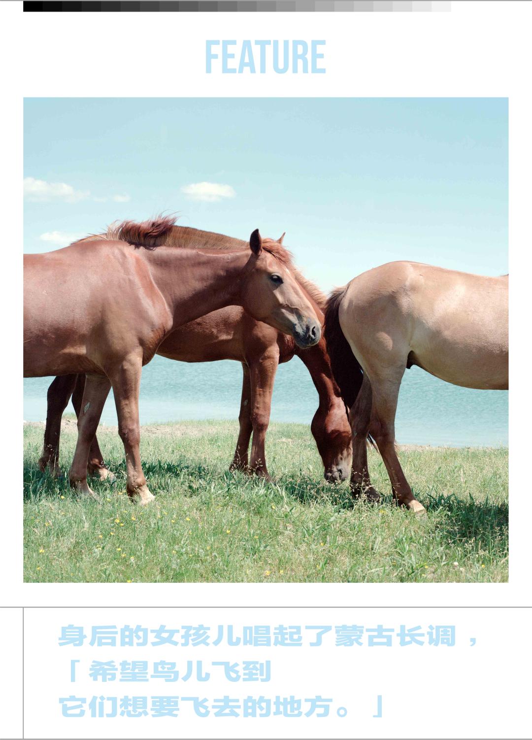 内蒙的马奶酒乳白色,内蒙古赤峰市马奶酒