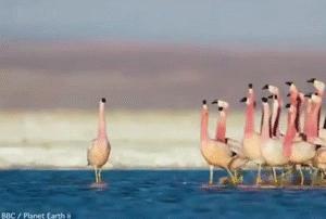 在字节上班太累怎么办,字节跳动的正确工作方式