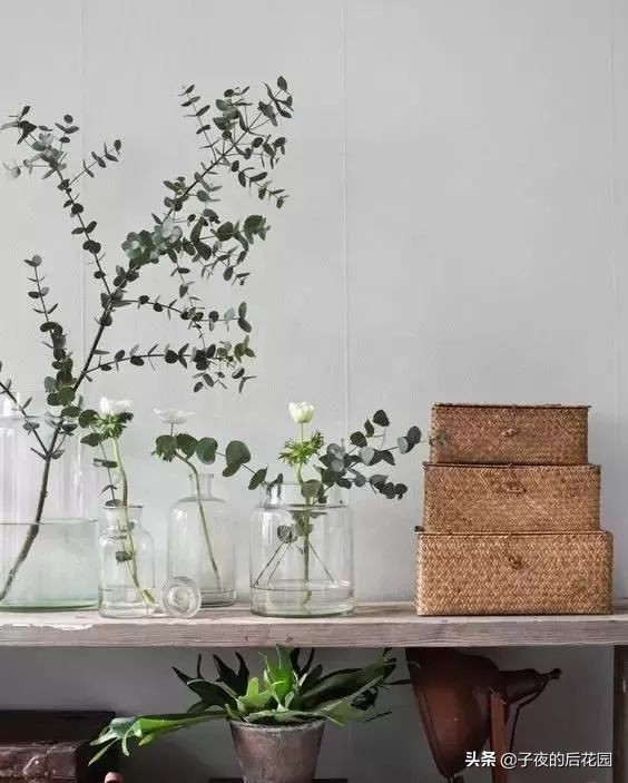 花店常用的配花配草有哪些方法,常见配花配草