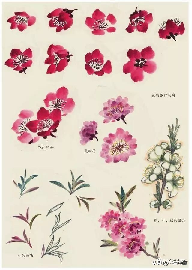 桃花的国画画法,国画桃花树的画法
