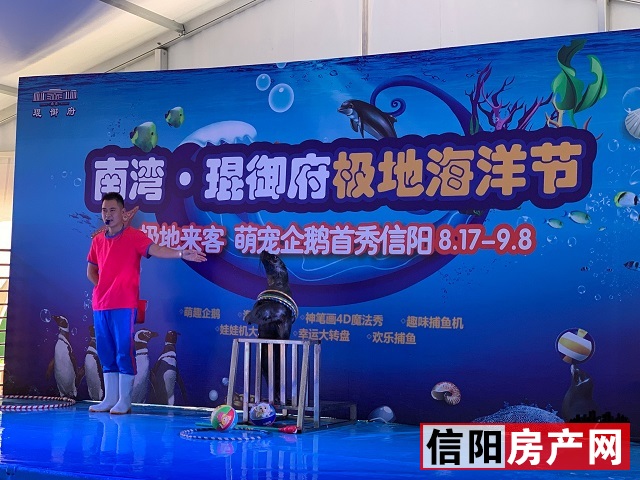 火爆!信阳多个售楼部挤满了人,抢房现场大曝光